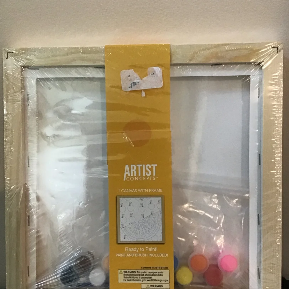 Artist Concepts Framed Canvas Paintable Print Oranges Citrus Art‎ Craft Kit